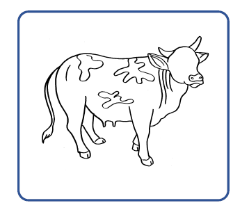 Mewarnai Binatang Sapi X Png Mewarnai Binatang Sapi X Png